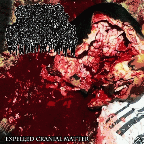 Offal Grinder : Expelled Cranial Matter